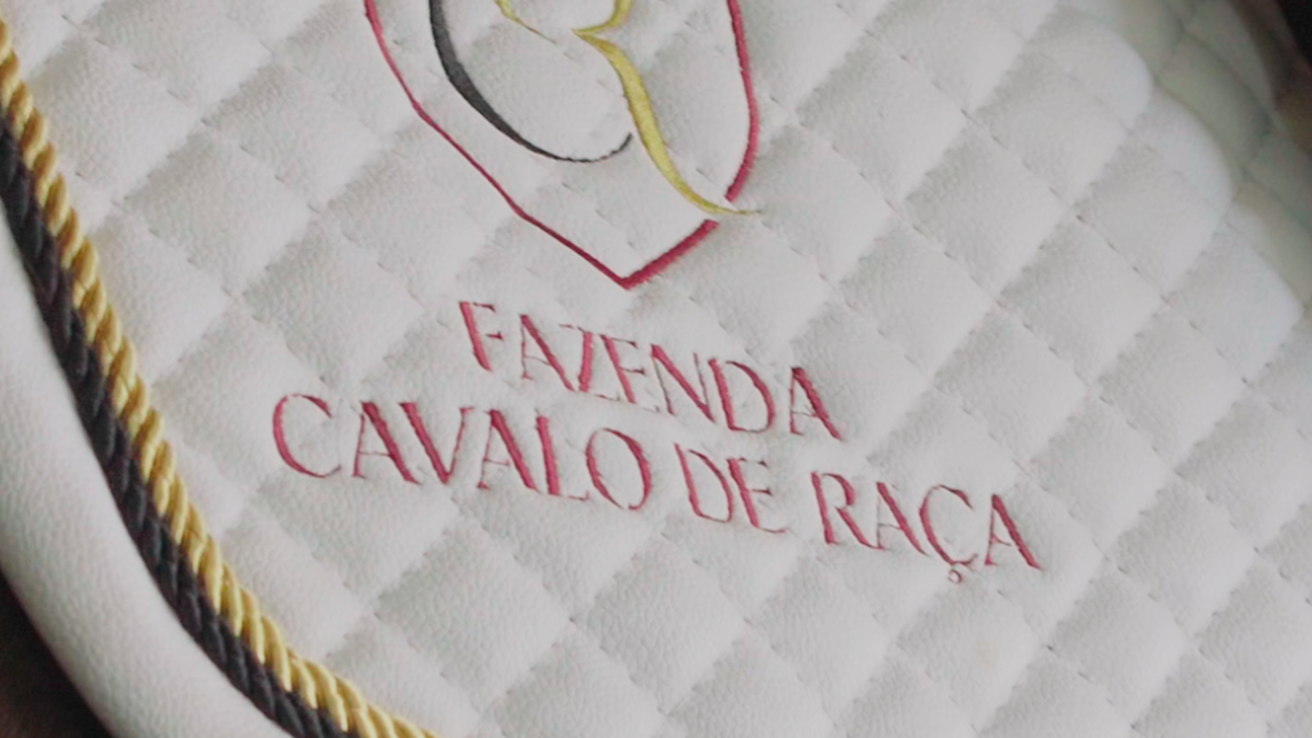 Cavalo de Raça 2024