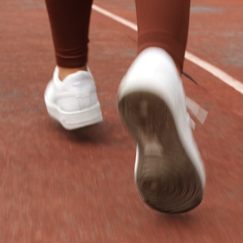 Contorno Malhas – Conteúdo digital